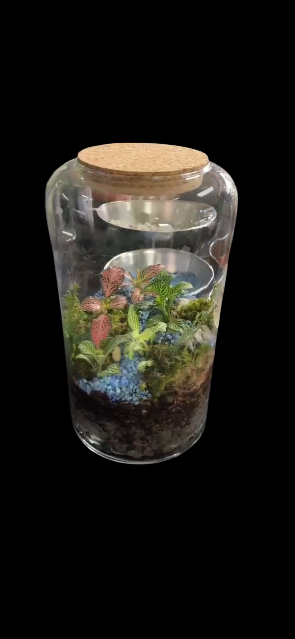 Prenotazioni Workshop e Corsi