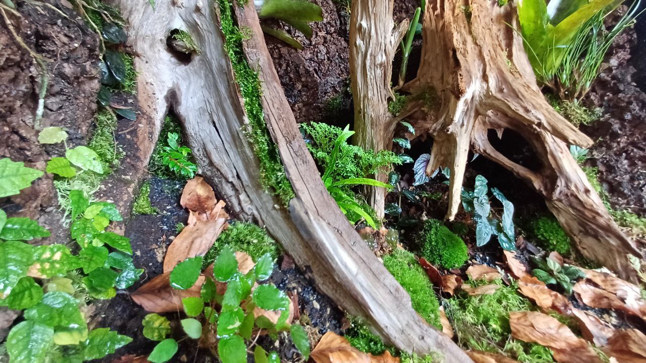 Prenotazioni Workshop e Corsi