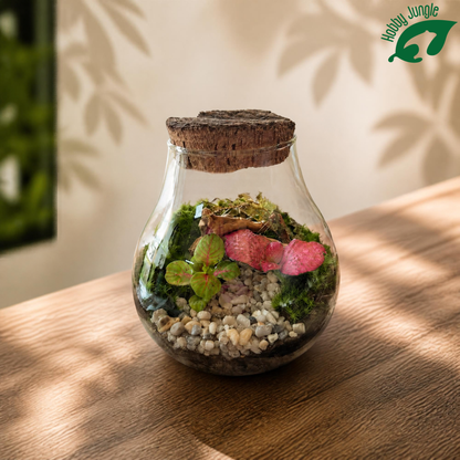 Terrarium