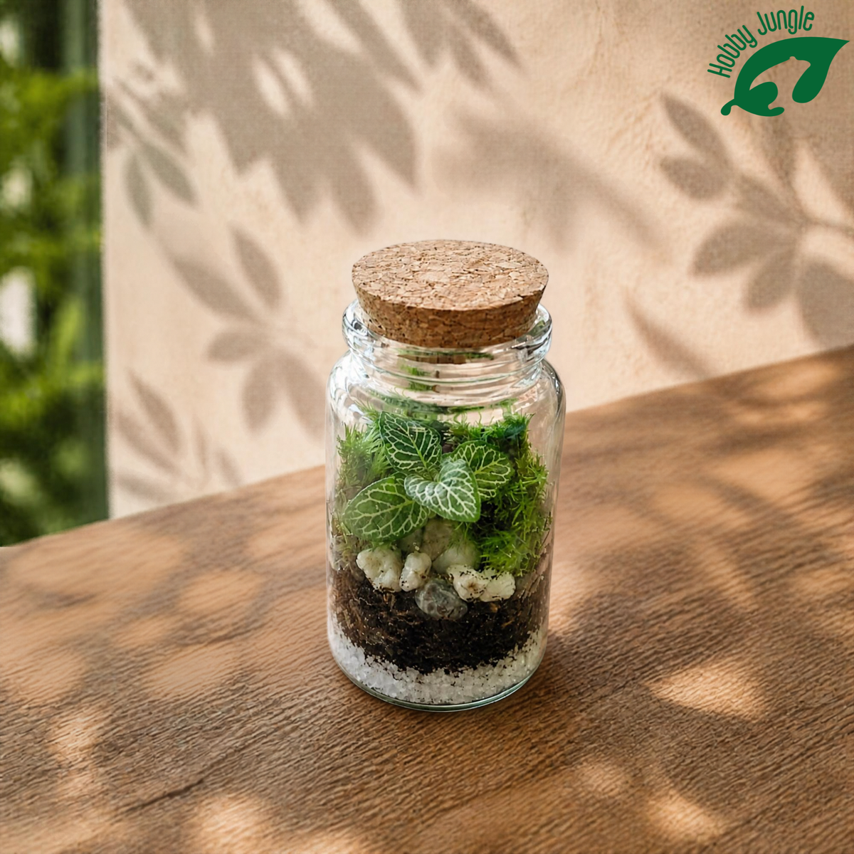 Terrarium