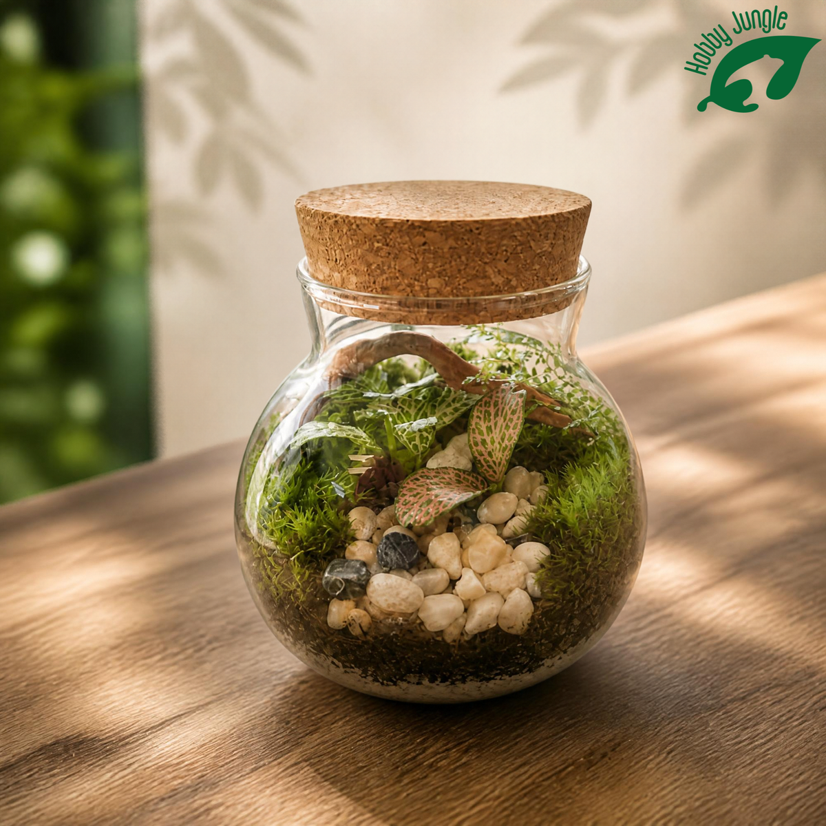 Terrarium