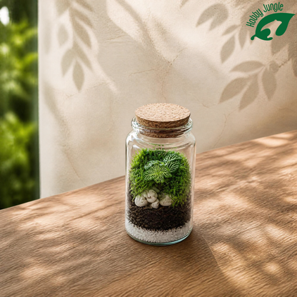 Terrarium