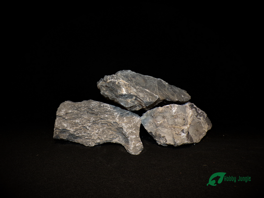 Dragon Stone