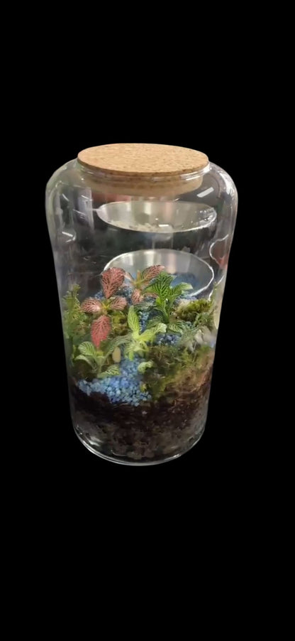 Prenotazioni Workshop e Corsi