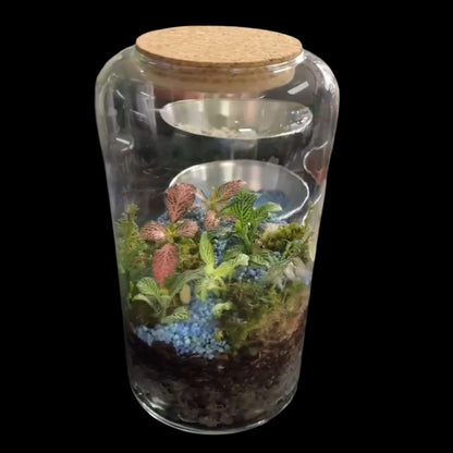 Prenotazioni Workshop e Corsi