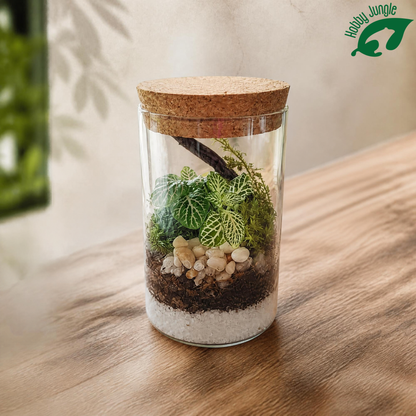 Terrarium